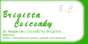 brigitta csicsaky business card